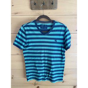 Express V-Neck T-Shirt Blue Green Striped